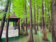 -星湖旅游景区七星岩