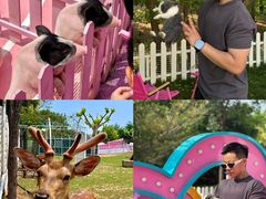 -渔岛海洋度假区