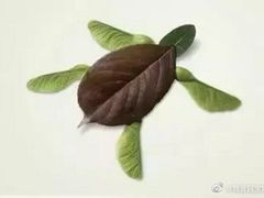 -昆山城市生态森林公园