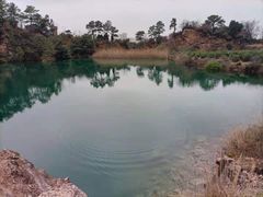 -树山生态村