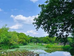 -西溪国家湿地公园