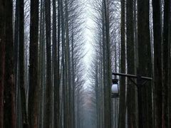 -山王坪喀斯特国家生态公园