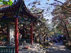 -高尔山公园