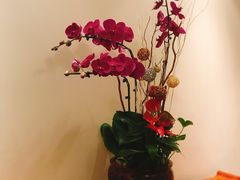 -芙蓉堂(武汉天地店)