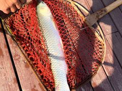 -静之湖湖畔餐厅