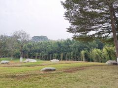 -广州国际生物岛山地公园揽胜园