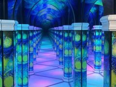-天津梵高星空艺术馆(天河城旗舰店)