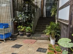 -先机泉水鸡汤(南山老君洞店)