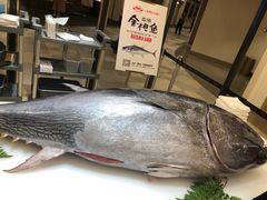 -蟹将军·松叶蟹和牛日料放题自助(K11店)