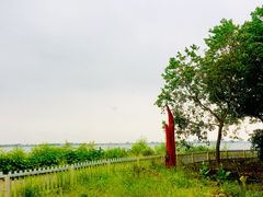 -动邦皮划艇·桨板·独木舟·团建户外运动俱乐部
