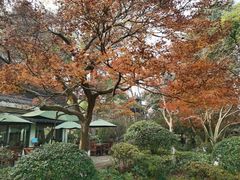 -浙江西子宾馆·瑶园咖啡厅