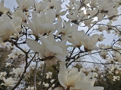 -南湾湖