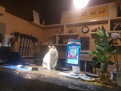 -天一朴素(武汉大学店)