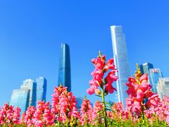 -海心沙亚运公园