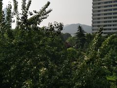 -山东大学(千佛山校区)