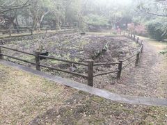-海口火山口国家地质公园