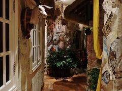 -叶叶菩提(太原别墅店)