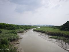 -福田红树林生态公园