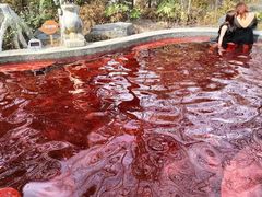 -太白山御龙湾温泉