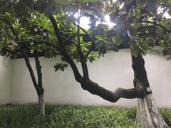 -杭州黄龙洞