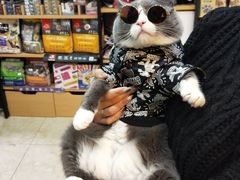 -奶牛家宠物酒店(嘉宏云顶店)