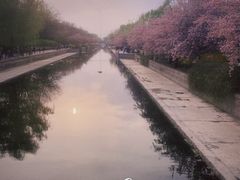 -元大都城垣遗址公园