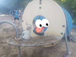 -酷酷兔少儿拓展天地