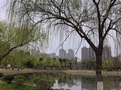 -堤角公园
