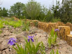 -白水寺森林公园