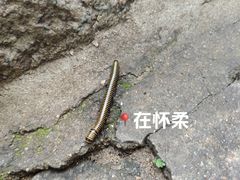 -HiMaMa亲子庄园·亲子餐厅