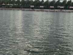 -呼兰河口湿地公园