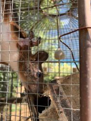 -萌宠亲子动物乐园(槐房万达店)