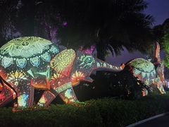 -云南民族村