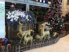 -苏州西交利物浦大学国际会议中心