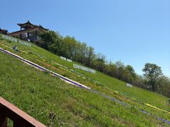 -南戴河国际娱乐中心