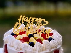 -维尔纳斯·生日蛋糕动物奶油冰淇淋蛋糕(人大店)