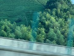 -将军关探险漂流