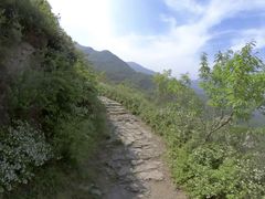 -阳台山自然风景区