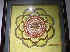 IMG_2885-上海昆虫博物馆