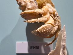 -大连自然博物馆
