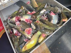 -三道苗苗鱼(三道堰老字号店)