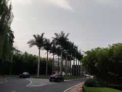 -西安国际创新人才交流中心•药浴温泉