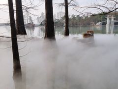 -东湖落雁景区
