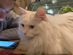 -小时光咖啡馆(北锣鼓巷店)