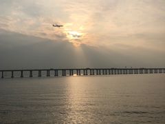 -宝安西湾红树林湿地公园