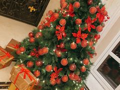 -大堂吧·下午茶·特调鸡尾酒(大连一方城堡豪华精选酒店)