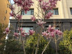 -陕西华浮宫酒店(未央湖公园店)