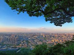 -惠山国家森林公园