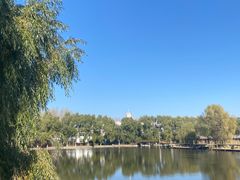 -白渔泡湿地公园