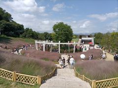 -牛岗山公园